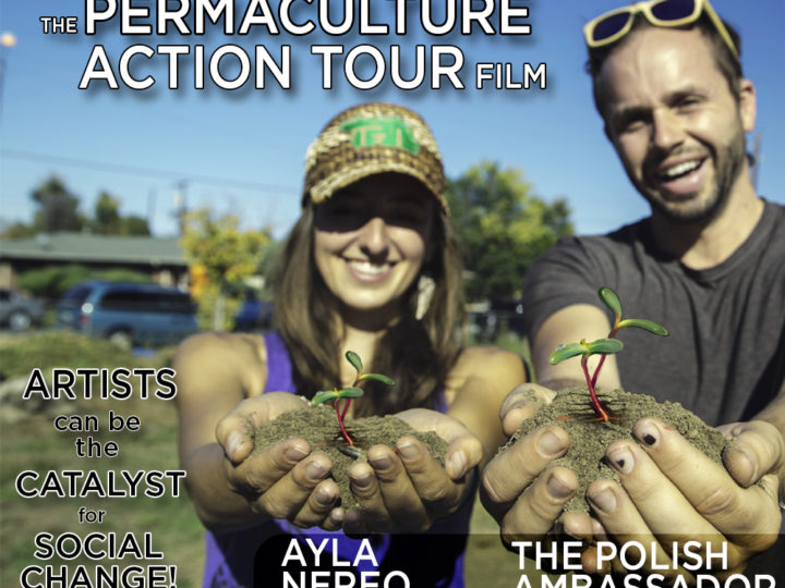 WEF Permaculture Action Day & Permaculture Action Tour Film Screening @ Whole Earth Festival