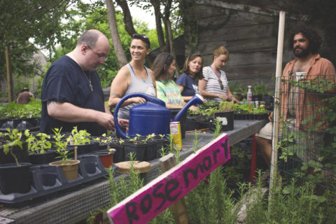 New Orleans Permaculture Action Day