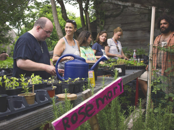 New Orleans Permaculture Action Day