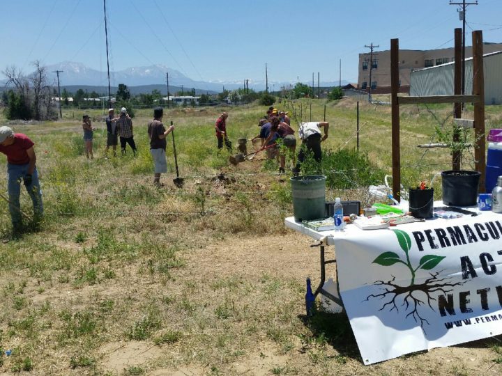 Sonic Bloom Festival hosts Permaculture Action Day at local Walsenburg Community Farm