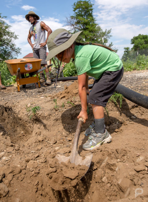 Denver Permaculture Action Day
