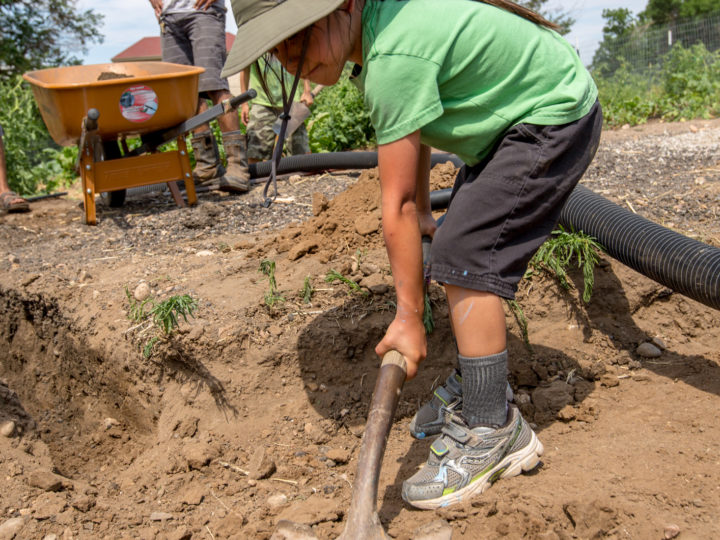 7.16.16 Denver Permaculture Action Day