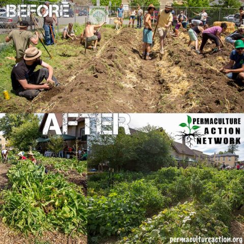 Permaculture Before After