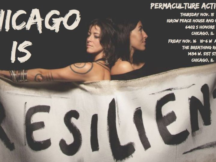 Chicago Permaculture Action Day w/ Rising Appalachia at iGrow – Nov 15, 2018