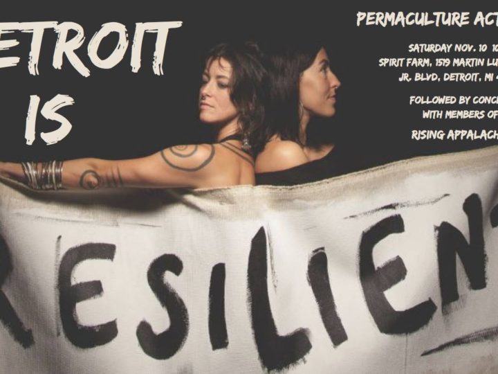 Detroit Permaculture Action Day w/ Rising Appalachia at Spirit Farm – Nov 10, 2018